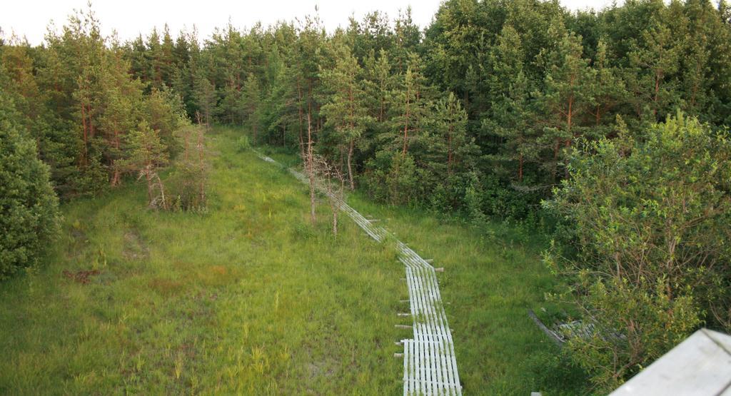 Kotkapoja Residence Курессааре Номер фото